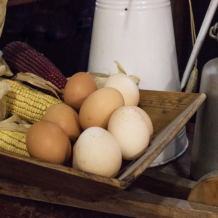 Huevos de gallinas felices