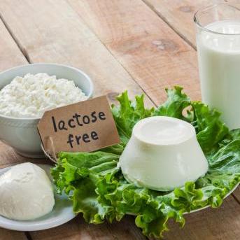 Foto sin lactosa